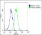 EI2BG Antibody