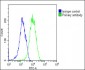 EI2BG Antibody