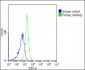 MME Antibody (Center)