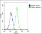 HAVCR2 Antibody