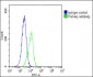 PCSK1 Antibody (C-Term)