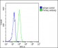 SCAP Antibody (Center)