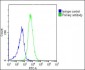 HLA-G Antibody (Center)