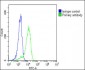 ENTPD2 Antibody (N-term)