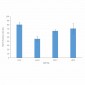 HSP70 Antibody