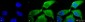 SOD (EC) Antibody