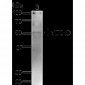 ATG4D Antibody 