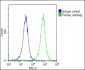 p16INK4a Antibody (C-term E119)