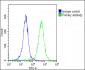 CD59 Antibody (Center)