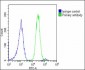 LMTK3 Antibody (N-term)