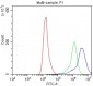 Anti-IFNGR1 Picoband Antibody