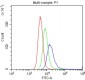 Anti-PECAM-1/CD31 Antibody