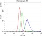 Anti-CD86/B7-2 Antibody