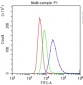 Anti-CD33 Picoband Antibody