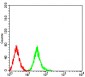 Phospho-4E-BP1 (Ser65)