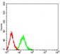 Phospho-4E-BP1 (Ser65)