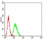 PCDH9