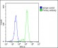 MyD88 Antibody (Center)