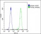 AQP5 Antibody (C-term)