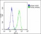 CDKN2B Antibody (C-term)