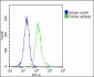 NUP93 Antibody (N-Term)