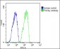 RARRES2 Antibody (Center)