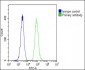 RS18 Antibody (Center)