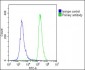 CRTR1 Antibody (N-term)