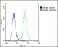 THBD Antibody (C-Term)