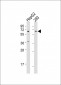 BTRC Antibody (N-term)