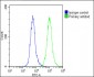 APLP1 Antibody (C-Term)