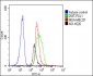 PD L1 Monoclonal  Antibody (PDL1)