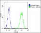 HHLA2 Antibody (N-term)