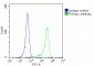 MART-1/Melan-A Antibody (Center)