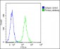 CD14 Antibody (N-term)