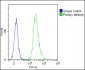 Glucagon Antibody (C-term)