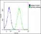 IL1A Antibody (Center)