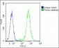 IL1A Antibody (Center)