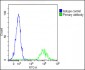 IL1A Antibody (Center)