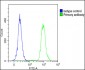 ADRB2 Antibody (S364)