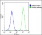 NPPA Antibody (N-term)