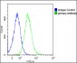 PTGER3 Antibody (N-term)