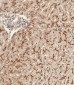 GAA Antibody (N-term)