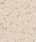 PCDH9 Antibody (C-term)