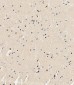 USP17L24 Antibody (C-term)