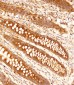 FCGR1B Antibody (C-term)