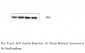 NFkB p65 Monoclonal Antibody(14H2)