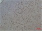 14-3-3 ε Polyclonal Antibody