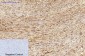 MICU1 Monoclonal Antibody(Mix)