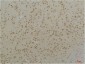 Cav1.2 Polyclonal Antibody